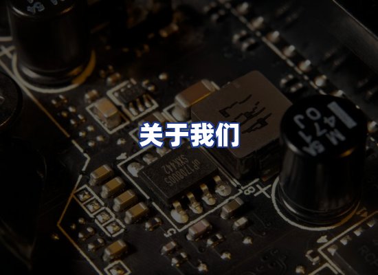 专业团队